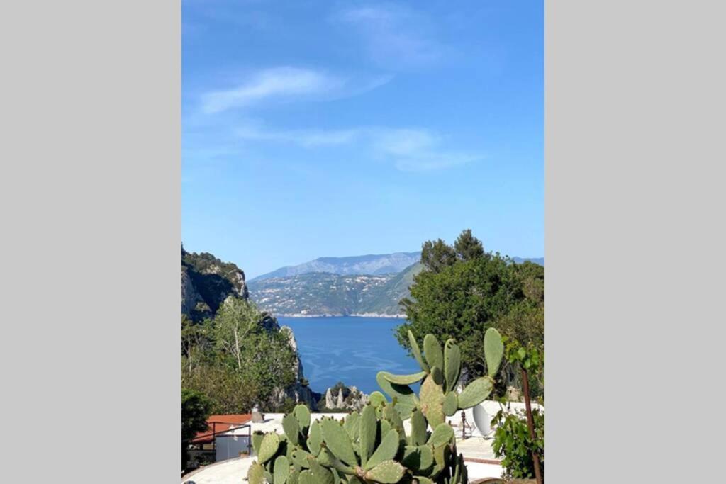 Willa Casa Masgaba Capri Zewnętrze zdjęcie